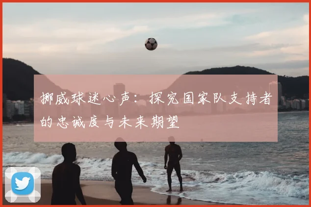 挪威球迷心声：探究国家队支持者的忠诚度与未来期望